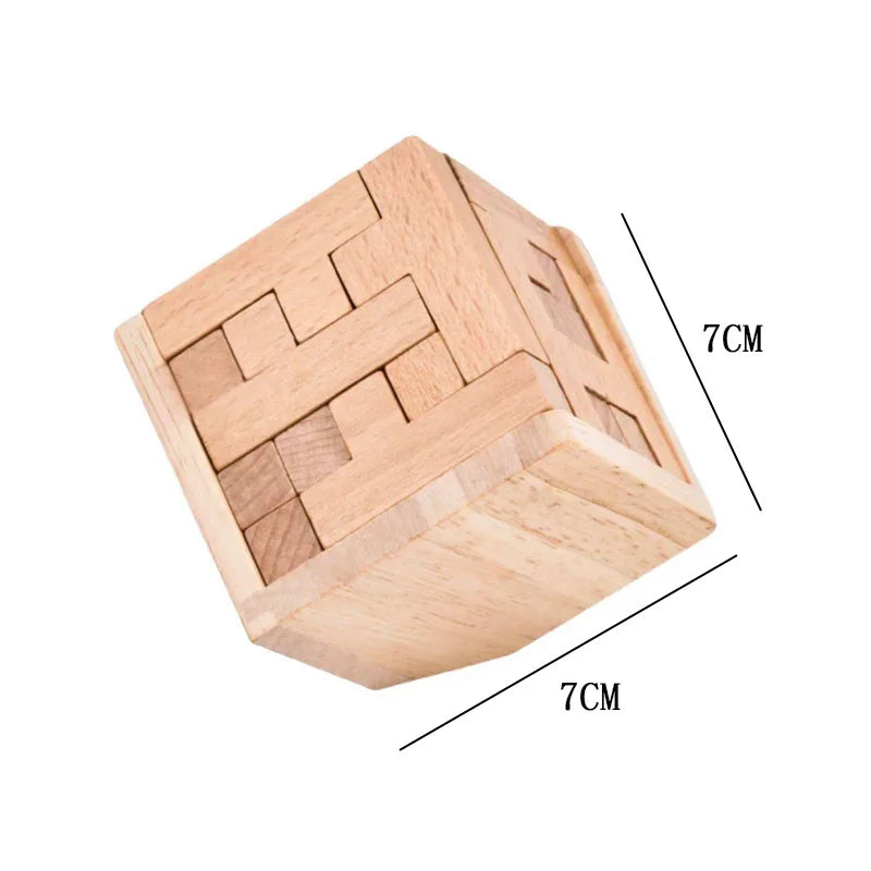 LogicMaster™ IQ Challenge Cube
