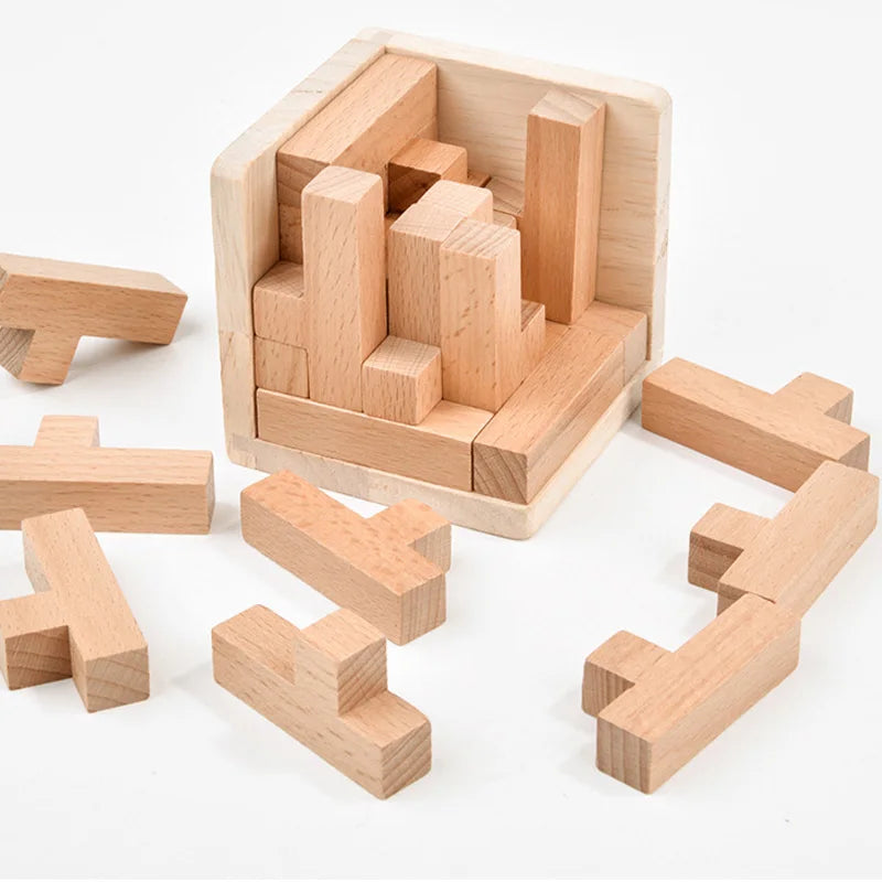 LogicMaster™ IQ Challenge Cube