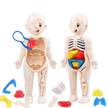 BodyWise™ Montessori Anatomy Kit