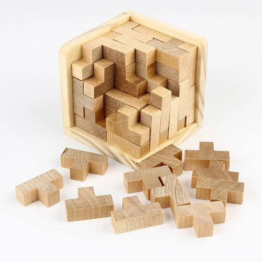 LogicMaster™ IQ Challenge Cube