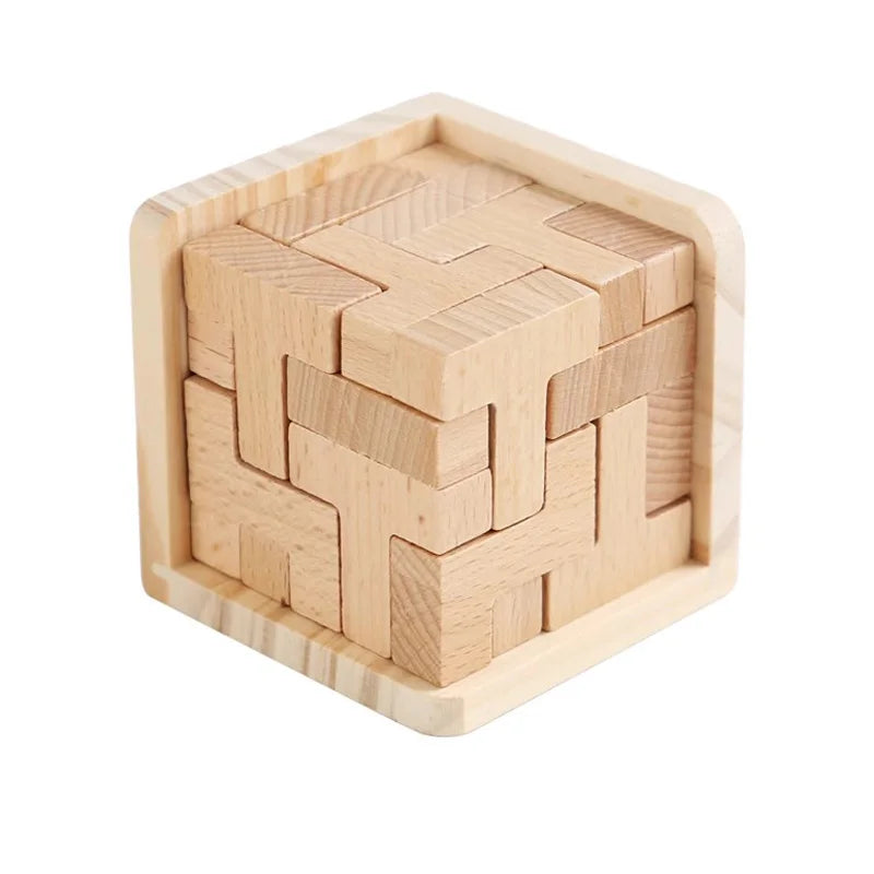LogicMaster™ IQ Challenge Cube