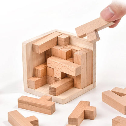 LogicMaster™ IQ Challenge Cube